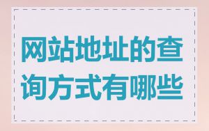 网站地址的查询方式有哪些