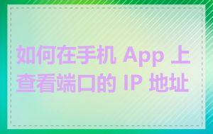 如何在手机 App 上查看端口的 IP 地址