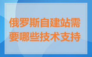 俄罗斯自建站需要哪些技术支持