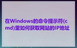 在Windows的命令提示符(cmd)里如何获取网站的IP地址