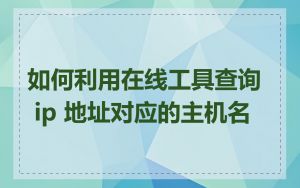 如何利用在线工具查询 ip 地址对应的主机名