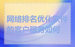 网络排名优化软件的客户服务如何