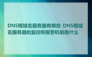 DNS根域名服务器有哪些_DNS根域名服务器的监控和报警机制是什么