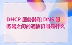 DHCP 服务器和 DNS 服务器之间的通信机制是什么