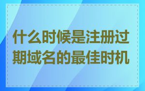 什么时候是注册过期域名的最佳时机