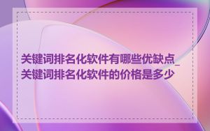 关键词排名化软件有哪些优缺点_关键词排名化软件的价格是多少