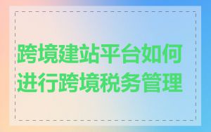 跨境建站平台如何进行跨境税务管理