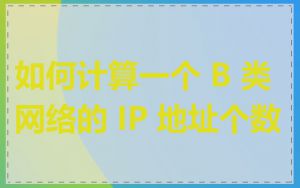 如何计算一个 B 类网络的 IP 地址个数