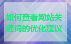 如何查看网站关键词的优化建议