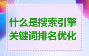 什么是搜索引擎关键词排名优化