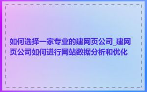如何选择一家专业的建网页公司_建网页公司如何进行网站数据分析和优化