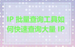 IP 批量查询工具如何快速查询大量 IP