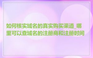 如何核实域名的真实购买渠道_哪里可以查域名的注册商和注册时间