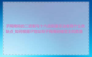 子网掩码的二进制与十六进制表示法各有什么优缺点_如何根据IP地址和子网掩码确定主机数量