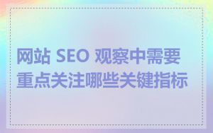 网站 SEO 观察中需要重点关注哪些关键指标