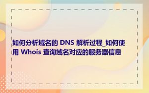 如何分析域名的 DNS 解析过程_如何使用 Whois 查询域名对应的服务器信息