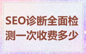 SEO诊断全面检测一次收费多少