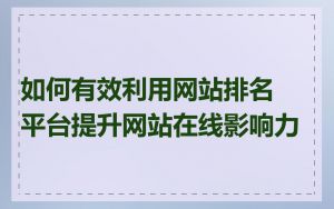 如何有效利用网站排名平台提升网站在线影响力