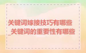 关键词嫁接技巧有哪些_关键词的重要性有哪些