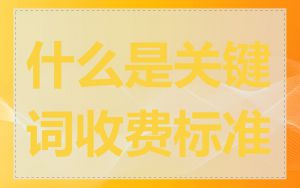 什么是关键词收费标准