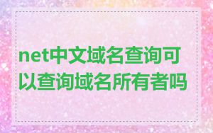 net中文域名查询可以查询域名所有者吗