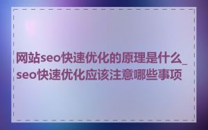 网站seo快速优化的原理是什么_seo快速优化应该注意哪些事项
