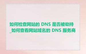 如何检查网站的 DNS 是否被劫持_如何查看网站域名的 DNS 服务商