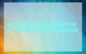能否通过ip地址找到手机号码的持有者_如何利用ip地址获取手机号码信息