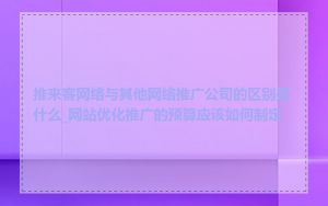 推来客网络与其他网络推广公司的区别是什么_网站优化推广的预算应该如何制定