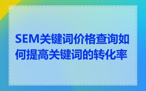 SEM关键词价格查询如何提高关键词的转化率