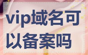 vip域名可以备案吗