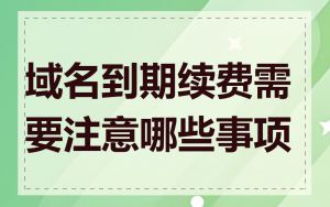 域名到期续费需要注意哪些事项