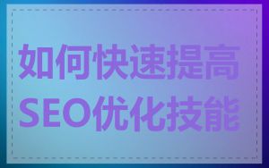 如何快速提高SEO优化技能