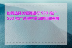 如何选择关键词进行 SEO 推广_SEO 推广过程中常见的问题有哪些