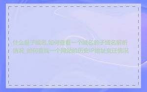 什么是子域名,如何查看一个域名的子域名解析情况_如何查找一个网站的历史IP地址变迁情况