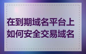 在到期域名平台上如何安全交易域名