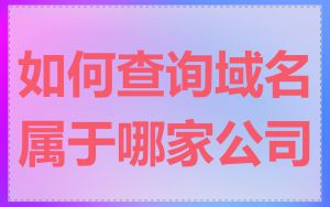 如何查询域名属于哪家公司