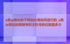 a类ip地址的子网划分是如何进行的_a类ip地址的网络号和主机号的位数是多少