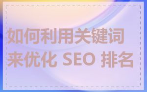 如何利用关键词来优化 SEO 排名
