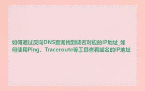如何通过反向DNS查询找到域名对应的IP地址_如何使用Ping、Traceroute等工具查看域名的IP地址