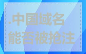 .中国域名能否被抢注