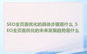 SEO全页面优化的具体步骤是什么_SEO全页面优化的未来发展趋势是什么