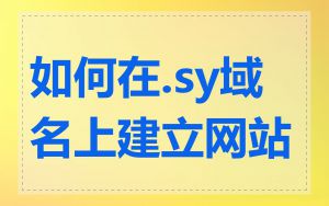 如何在.sy域名上建立网站
