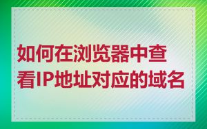 如何在浏览器中查看IP地址对应的域名