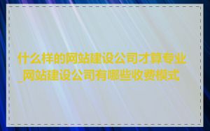 什么样的网站建设公司才算专业_网站建设公司有哪些收费模式