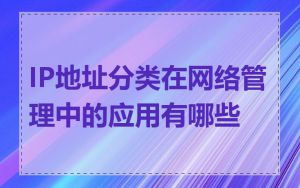 IP地址分类在网络管理中的应用有哪些