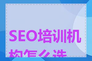SEO培训机构怎么选择
