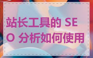站长工具的 SEO 分析如何使用