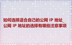 如何选择适合自己的公网 IP 地址_公网 IP 地址的选择有哪些注意事项