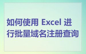 如何使用 Excel 进行批量域名注册查询